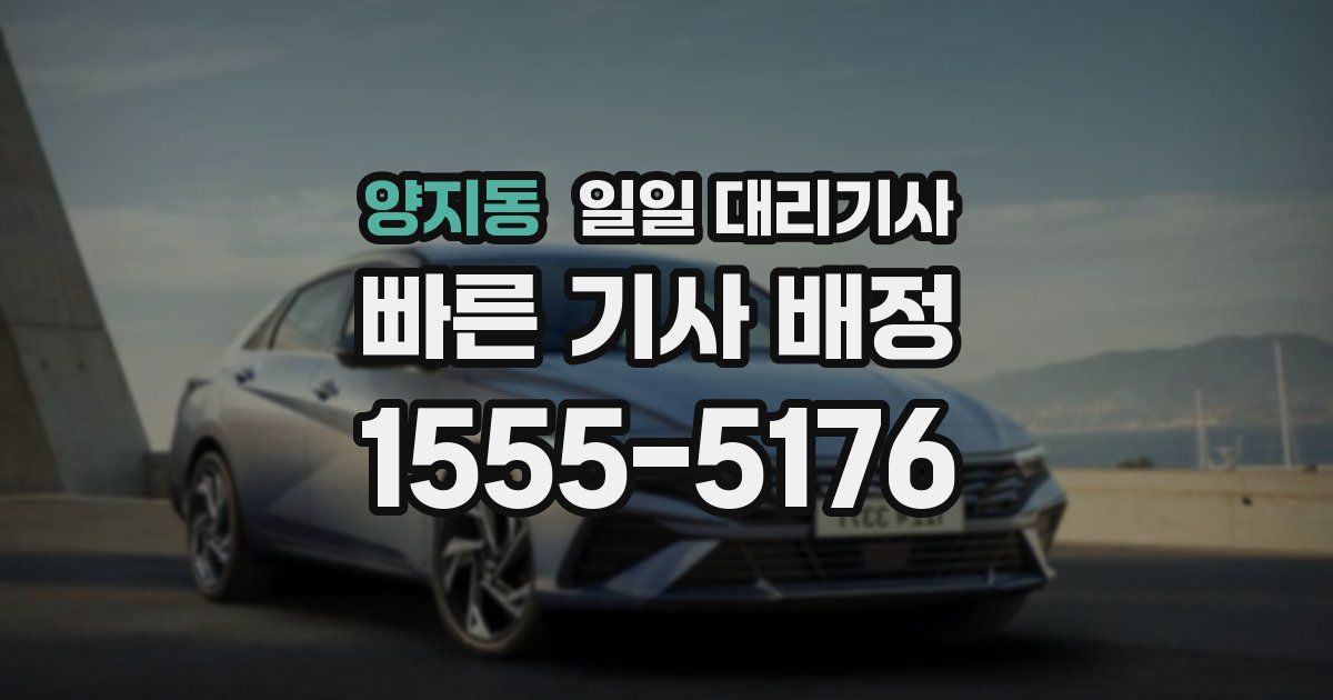 양지동 일일 대리기사