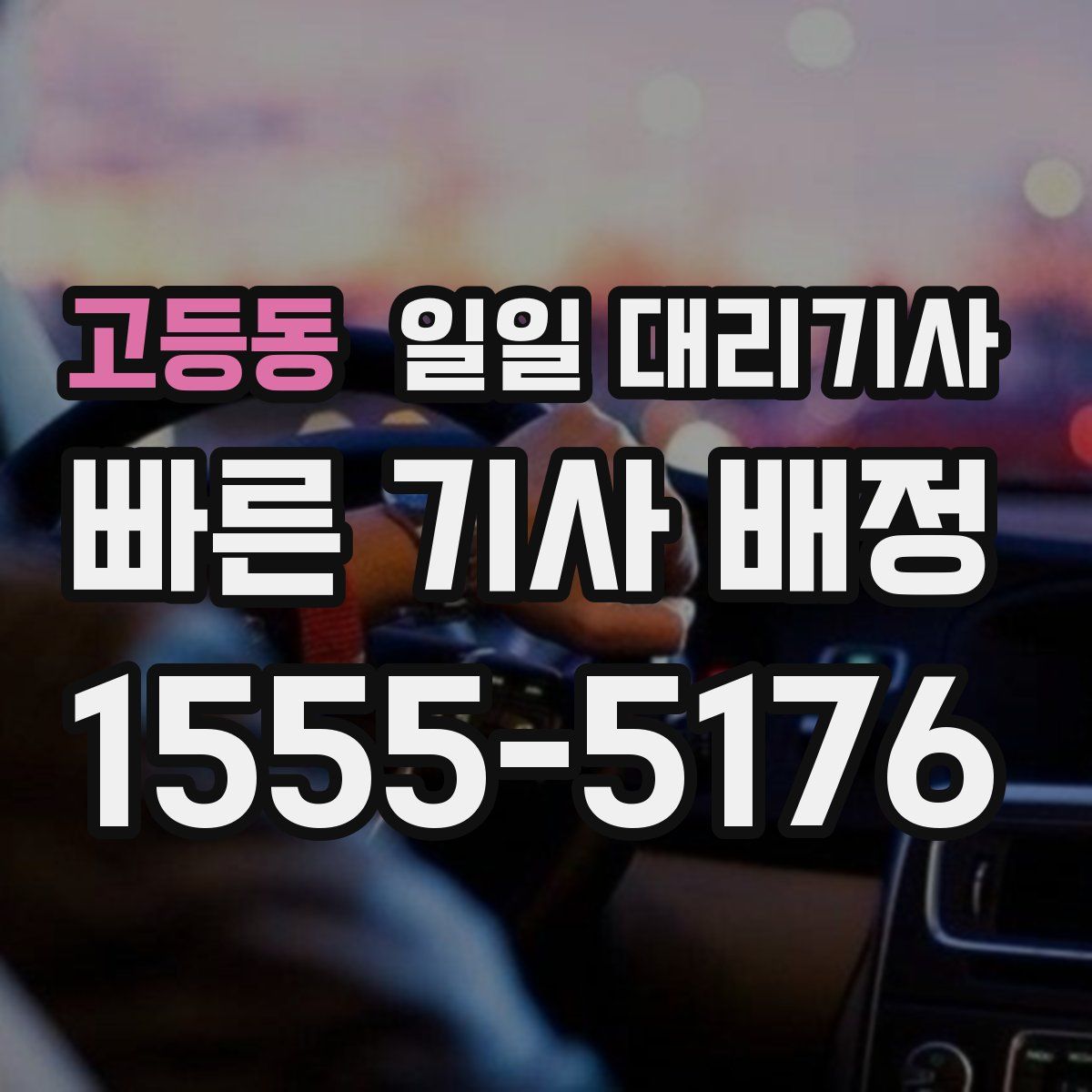 고등동 일일 대리기사