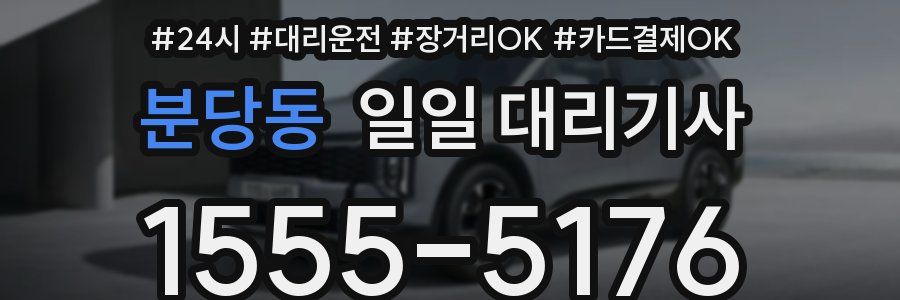 분당동 일일 대리기사