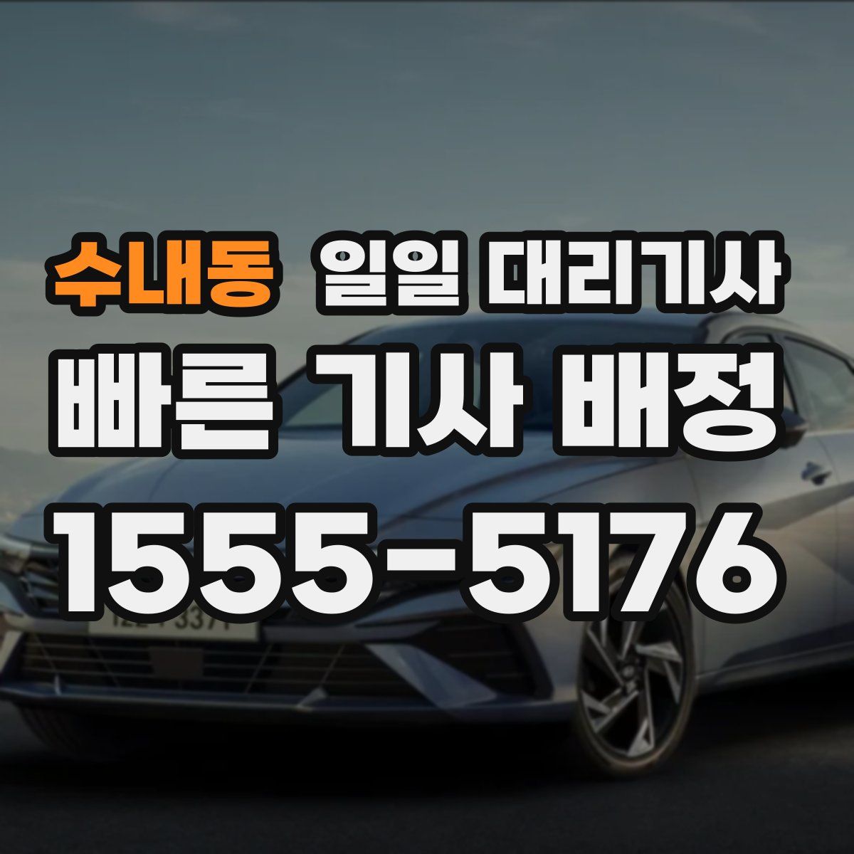 수내동 일일 대리기사