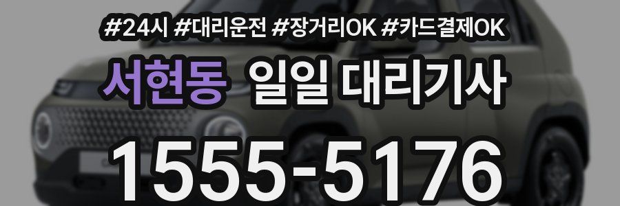 서현동 일일 대리기사