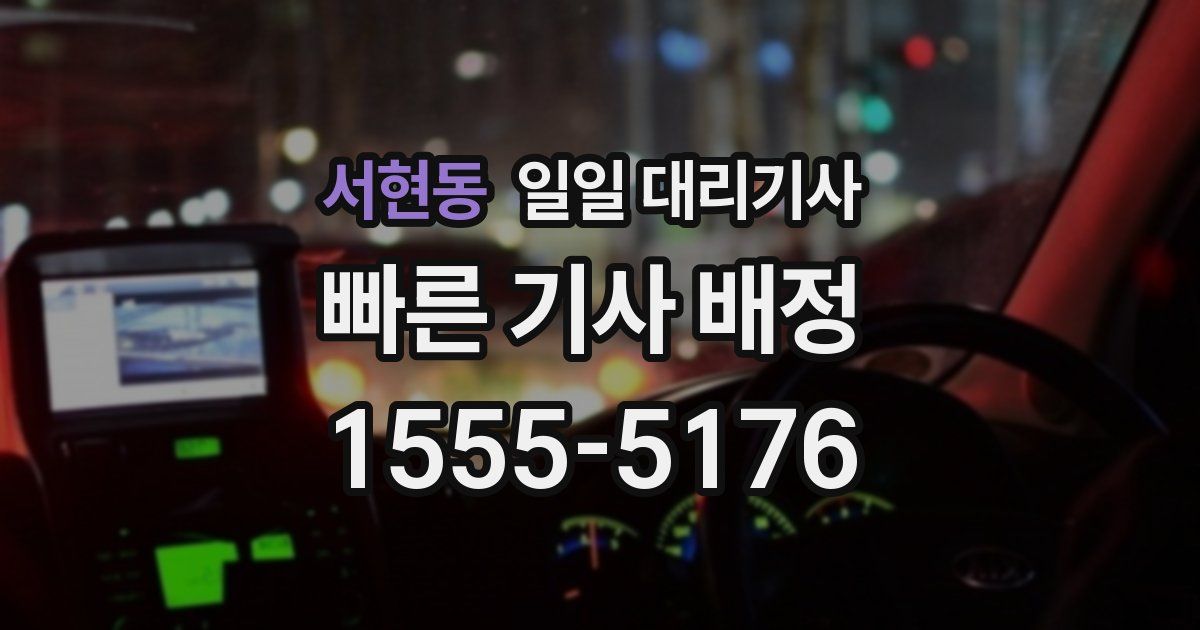 서현동 일일 대리기사