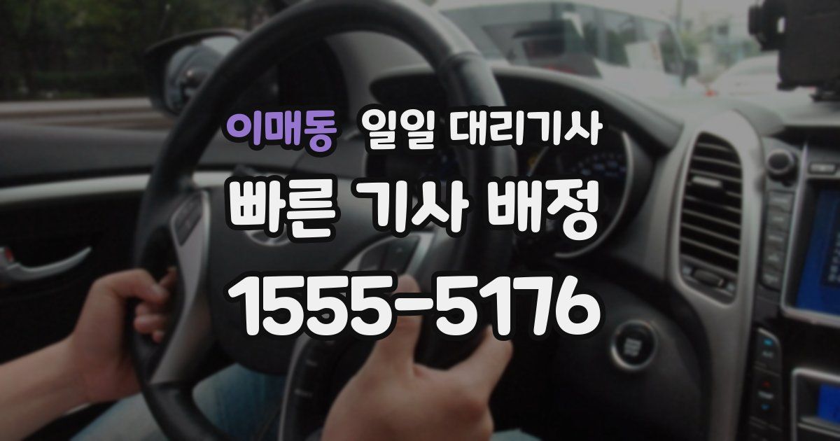 이매동 일일 대리기사