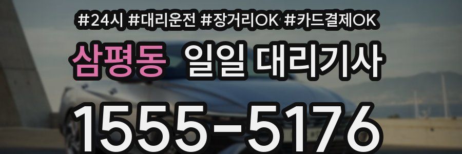 삼평동 일일 대리기사