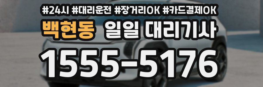 백현동 일일 대리기사