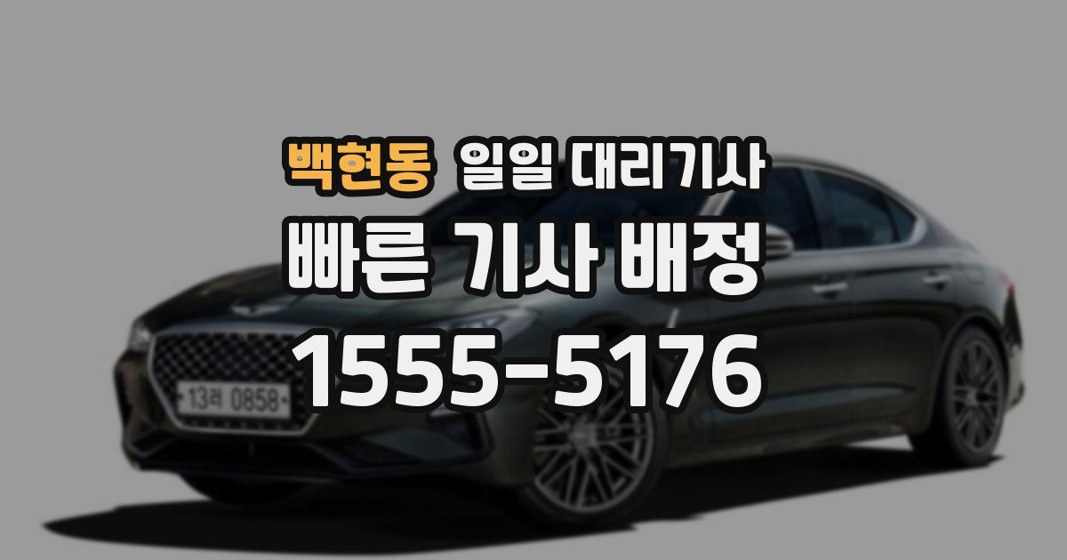 백현동 일일 대리기사