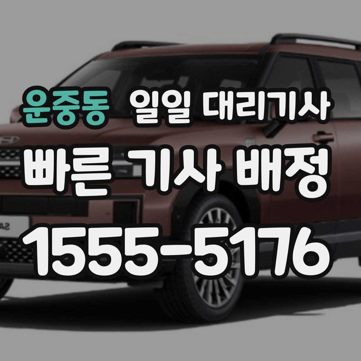운중동 일일 대리기사