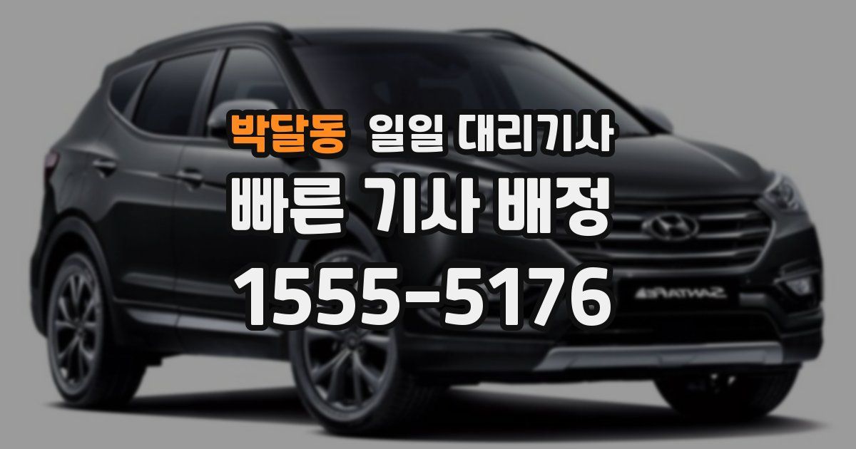 박달동 일일 대리기사
