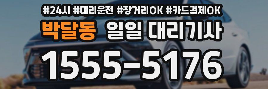박달동 일일 대리기사