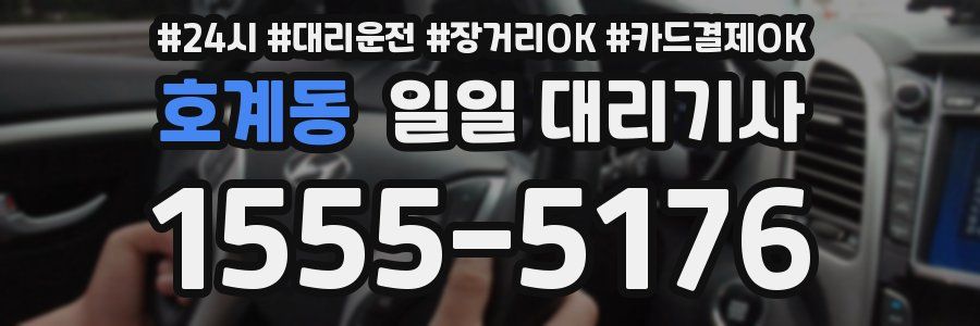 호계동 일일 대리기사