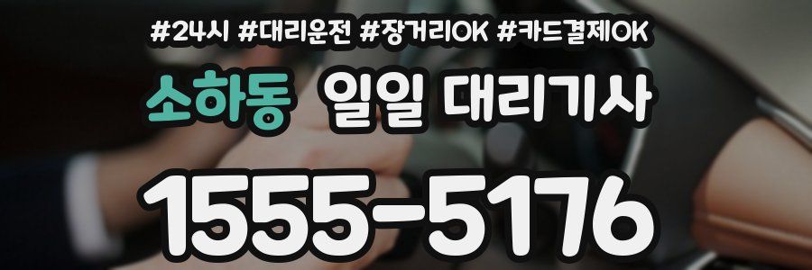 소하동 일일 대리기사