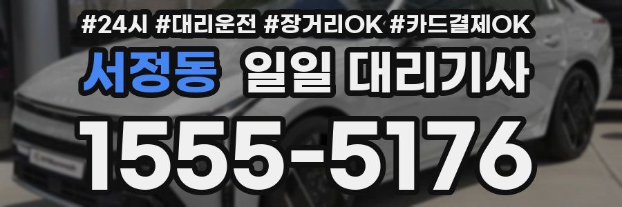 서정동 일일 대리기사