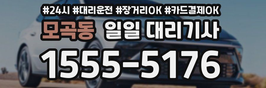 모곡동 일일 대리기사