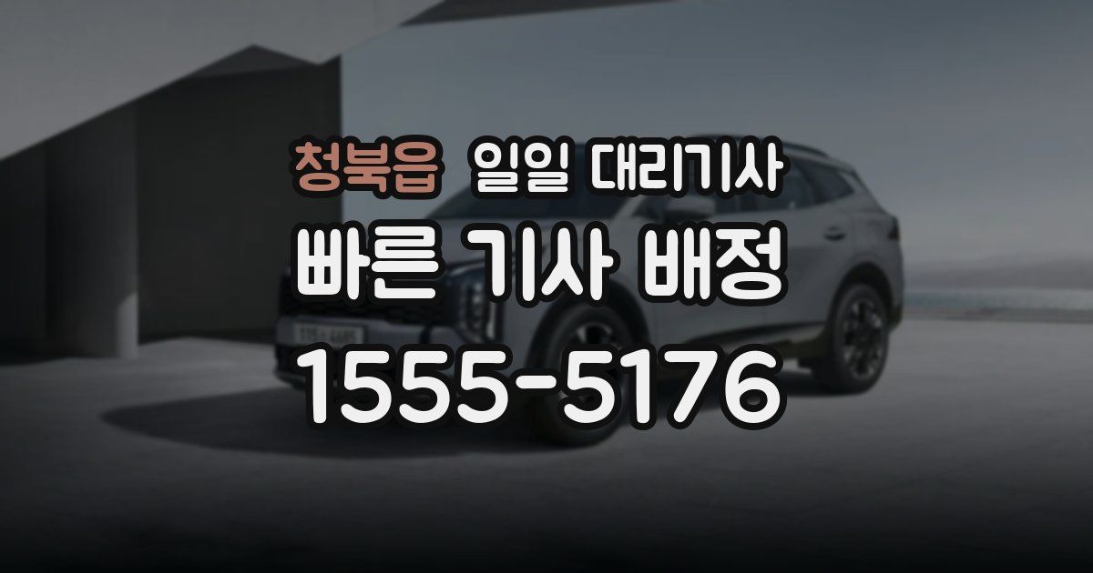 청북읍 일일 대리기사