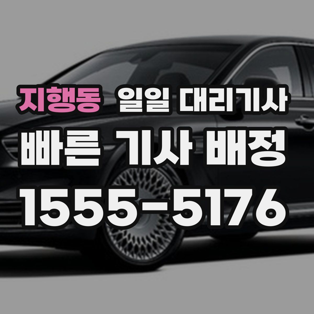 지행동 일일 대리기사