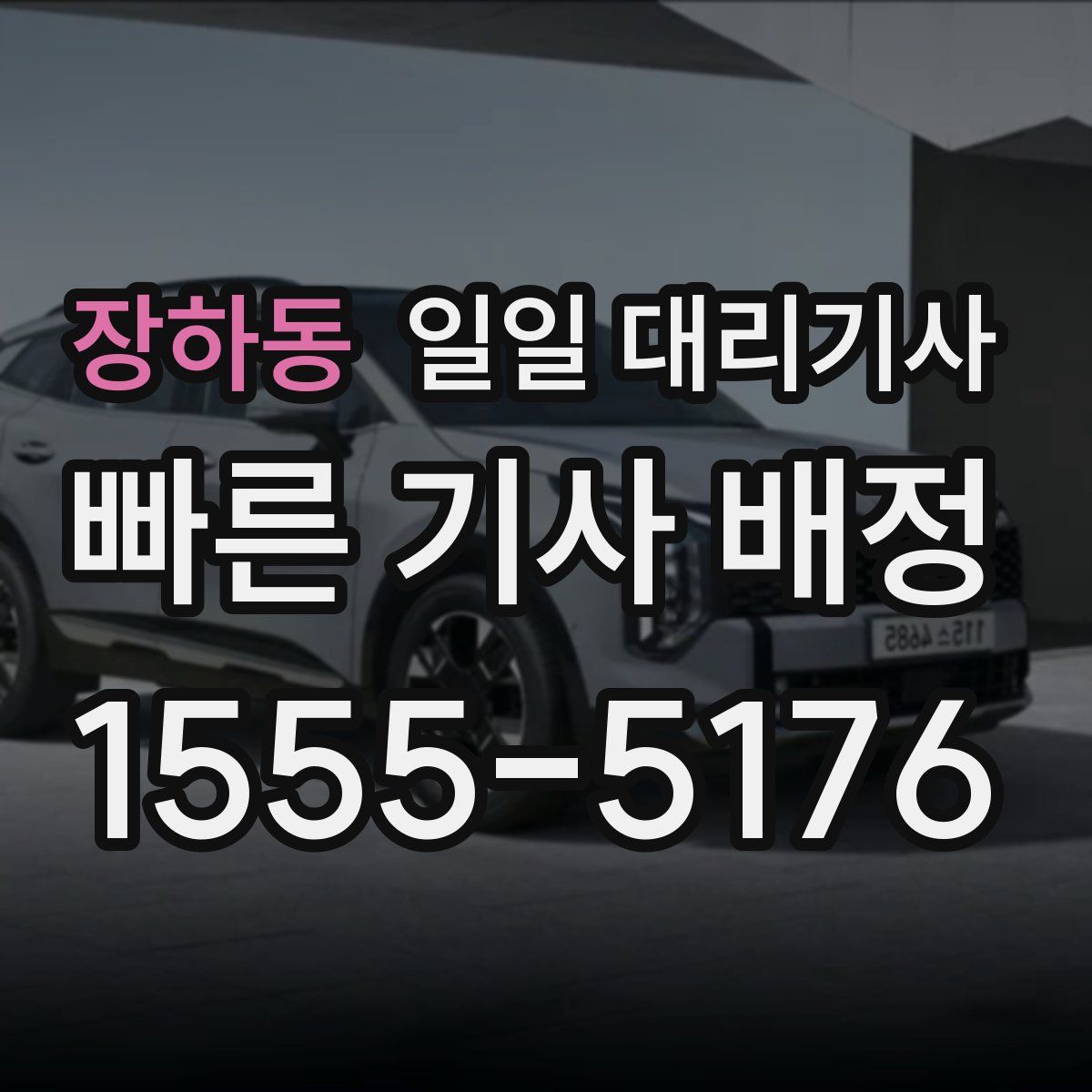 장하동 일일 대리기사