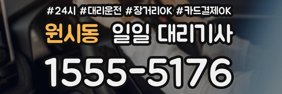 원시동 일일 대리기사