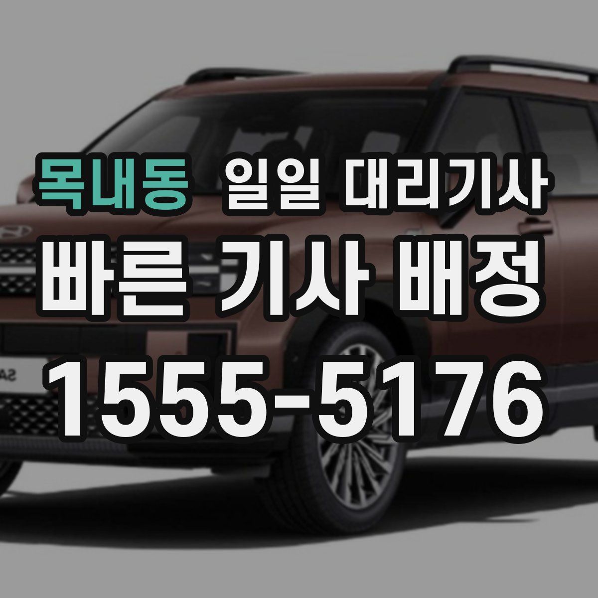 목내동 일일 대리기사