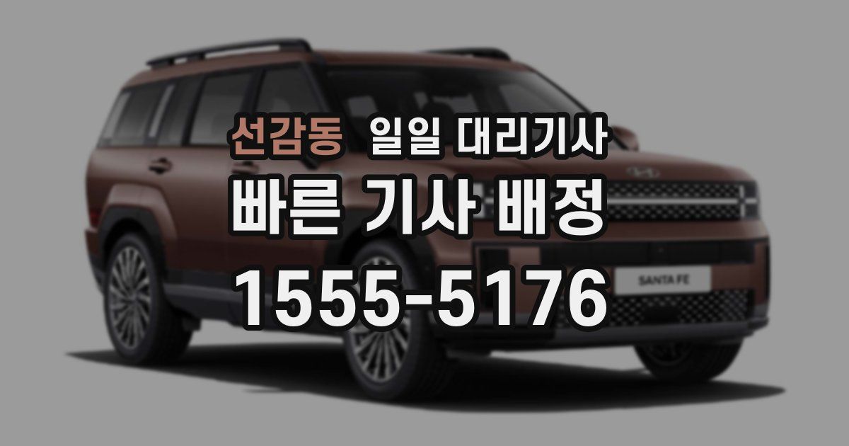 선감동 일일 대리기사