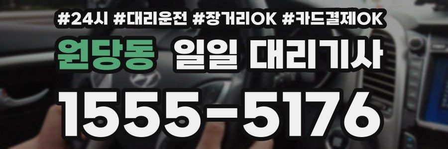 원당동 일일 대리기사