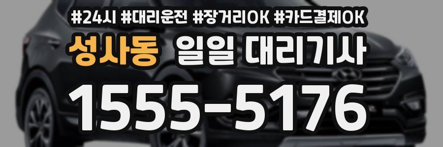 성사동 일일 대리기사