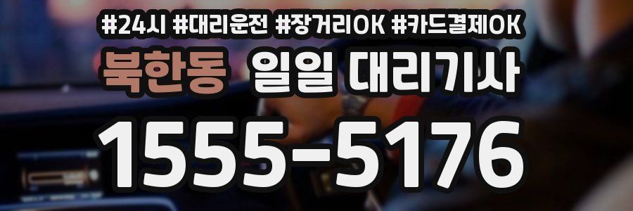 북한동 일일 대리기사