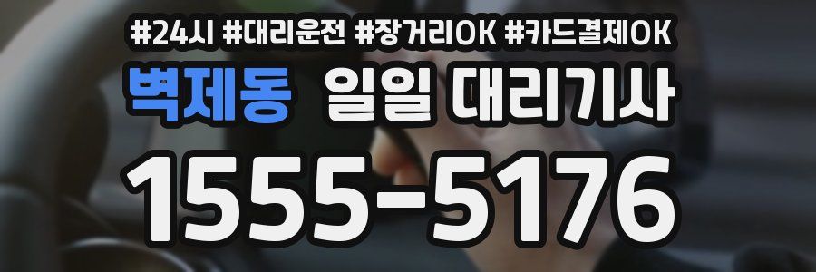 벽제동 일일 대리기사