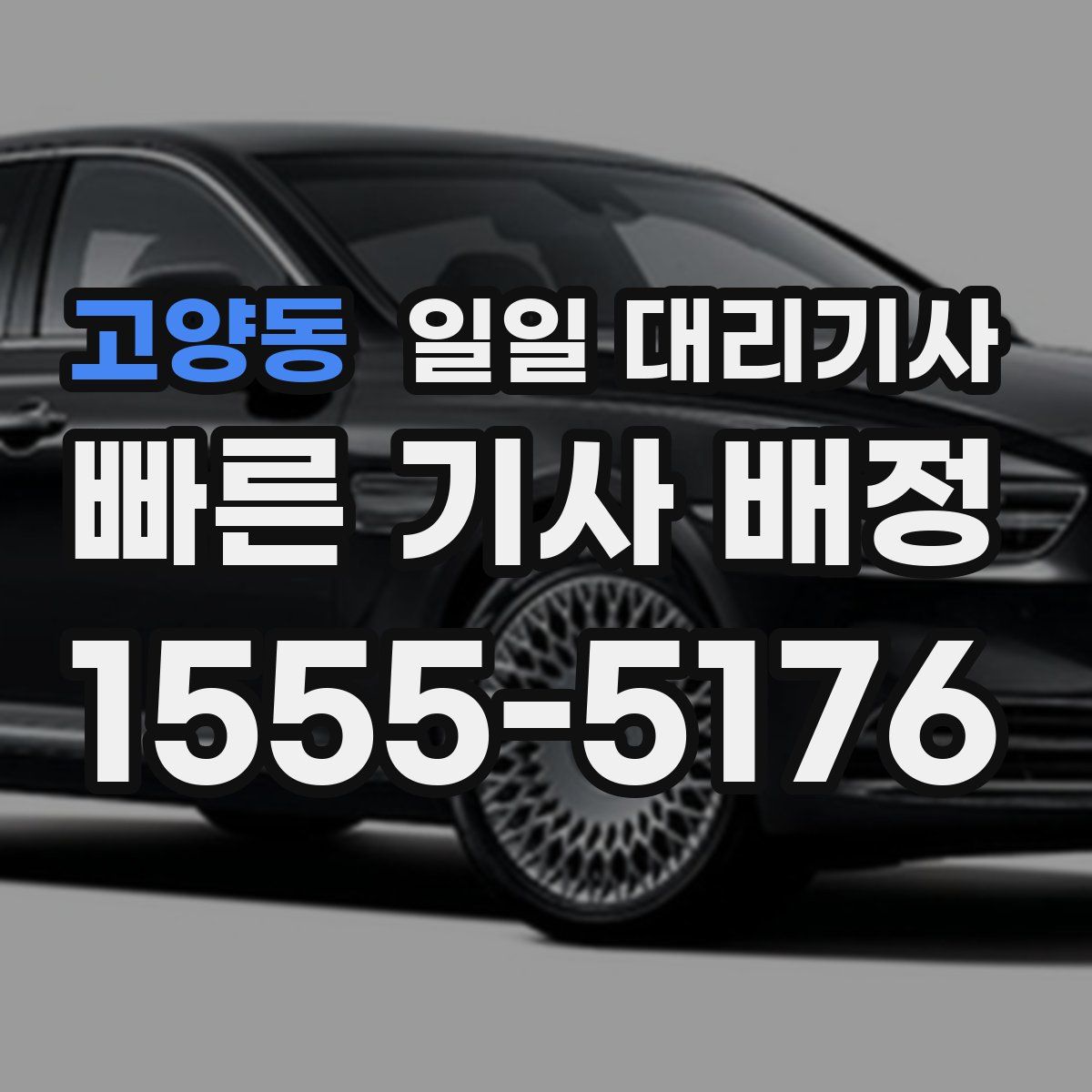 고양동 일일 대리기사