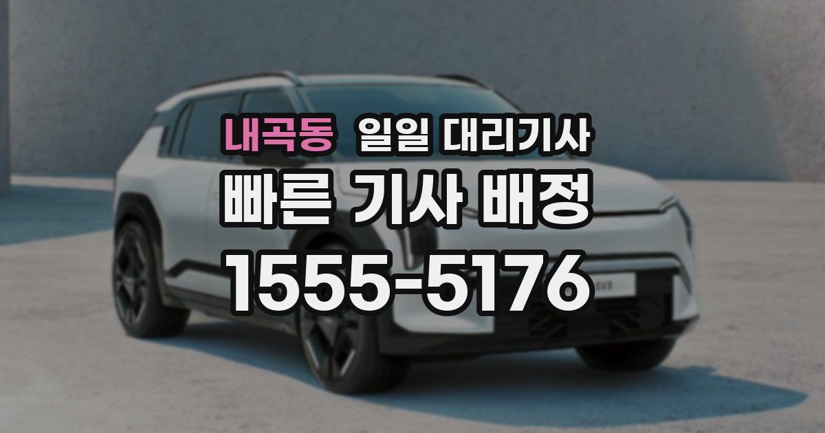 내곡동 일일 대리기사
