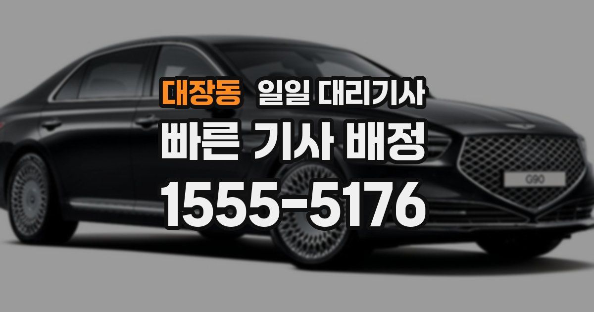 대장동 일일 대리기사