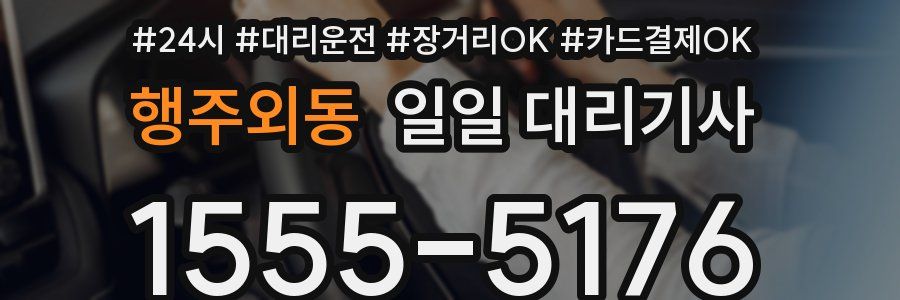 행주외동 일일 대리기사