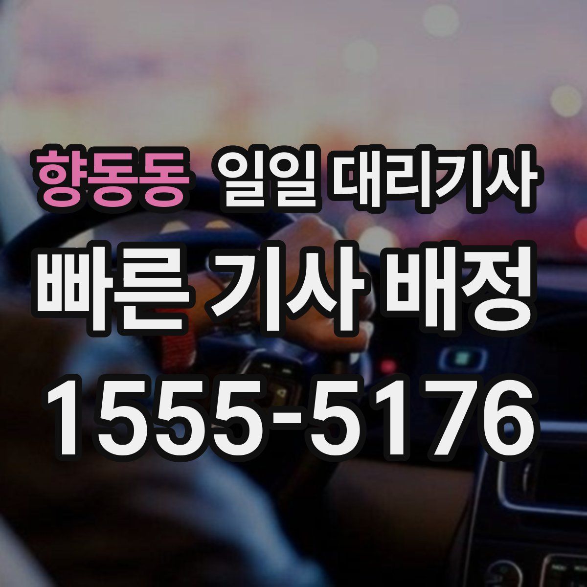 향동동 일일 대리기사