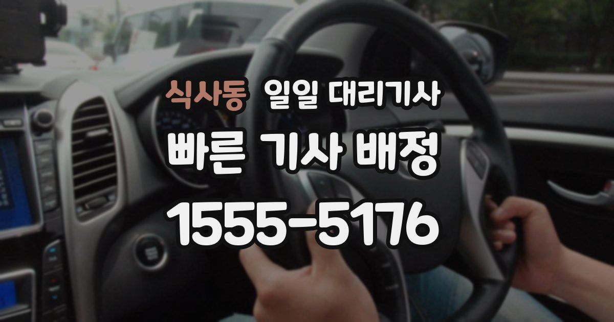 식사동 일일 대리기사