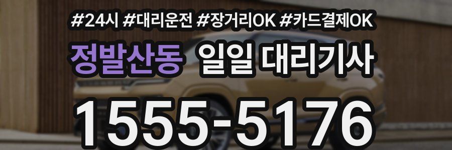정발산동 일일 대리기사