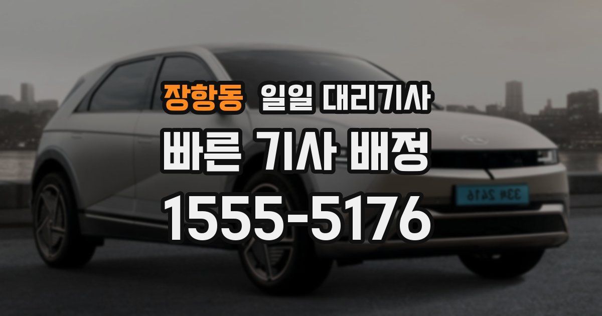장항동 일일 대리기사