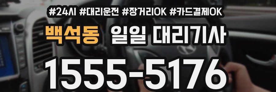 백석동 일일 대리기사