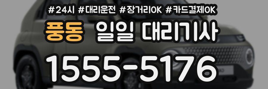 풍동 일일 대리기사