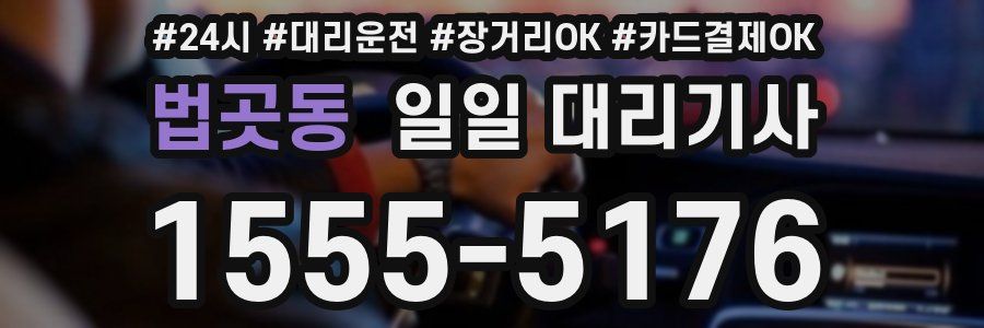 법곳동 일일 대리기사