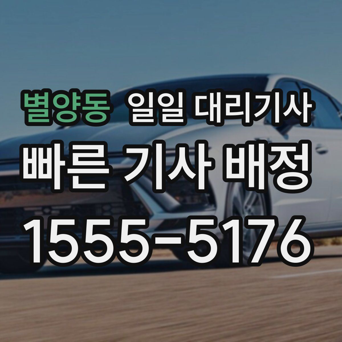 별양동 일일 대리기사