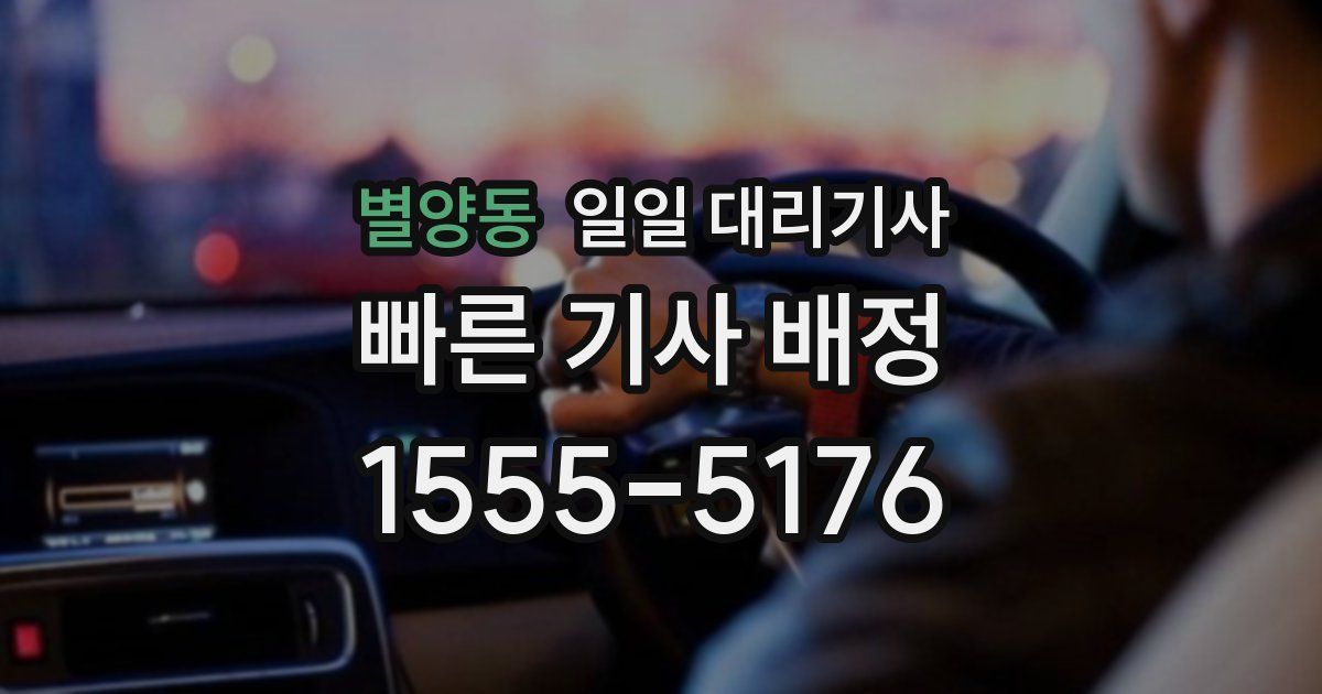 별양동 일일 대리기사