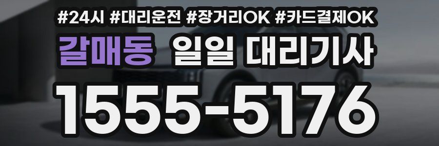 갈매동 일일 대리기사