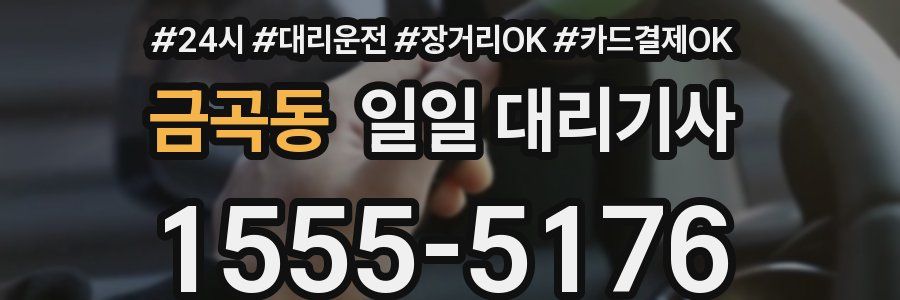 금곡동 일일 대리기사