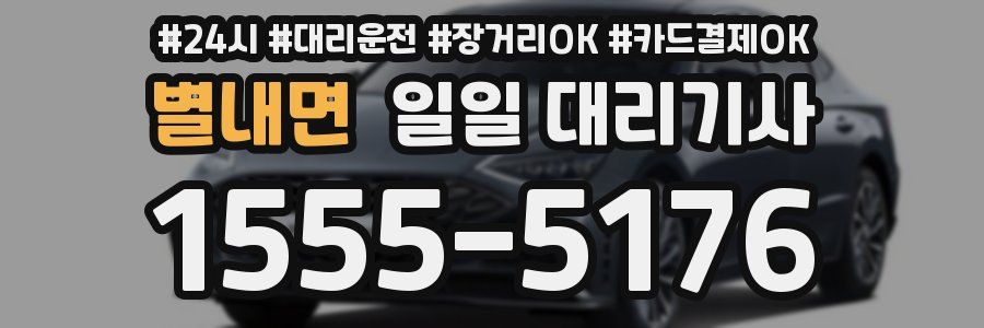 별내면 일일 대리기사