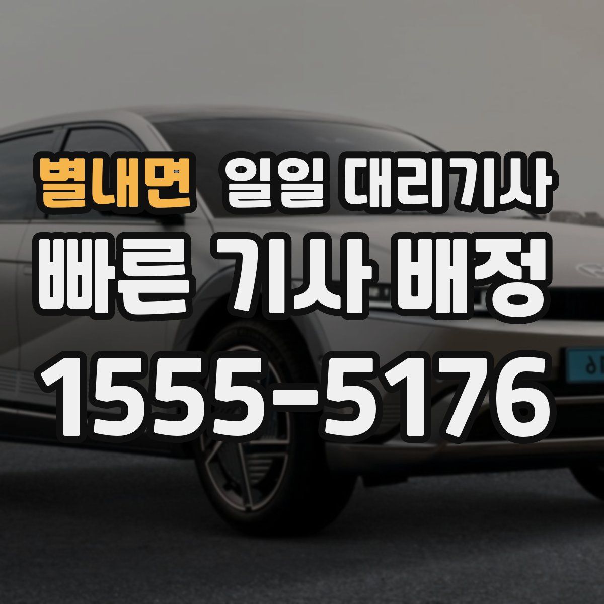 별내면 일일 대리기사