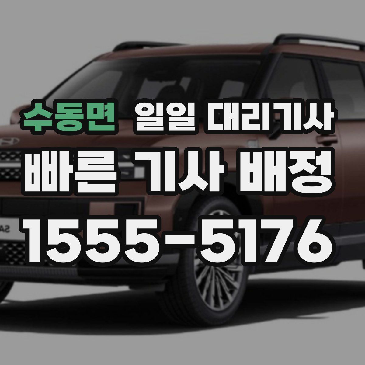 수동면 일일 대리기사