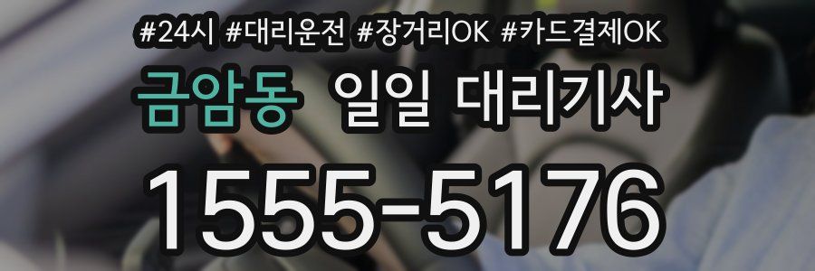 금암동 일일 대리기사