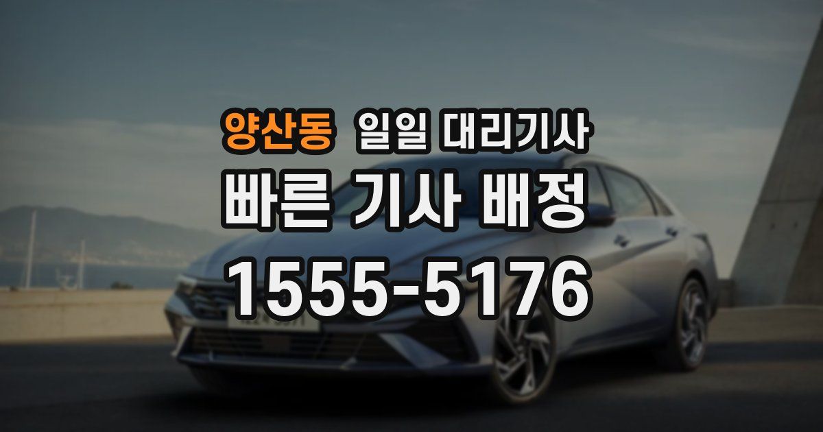 양산동 일일 대리기사