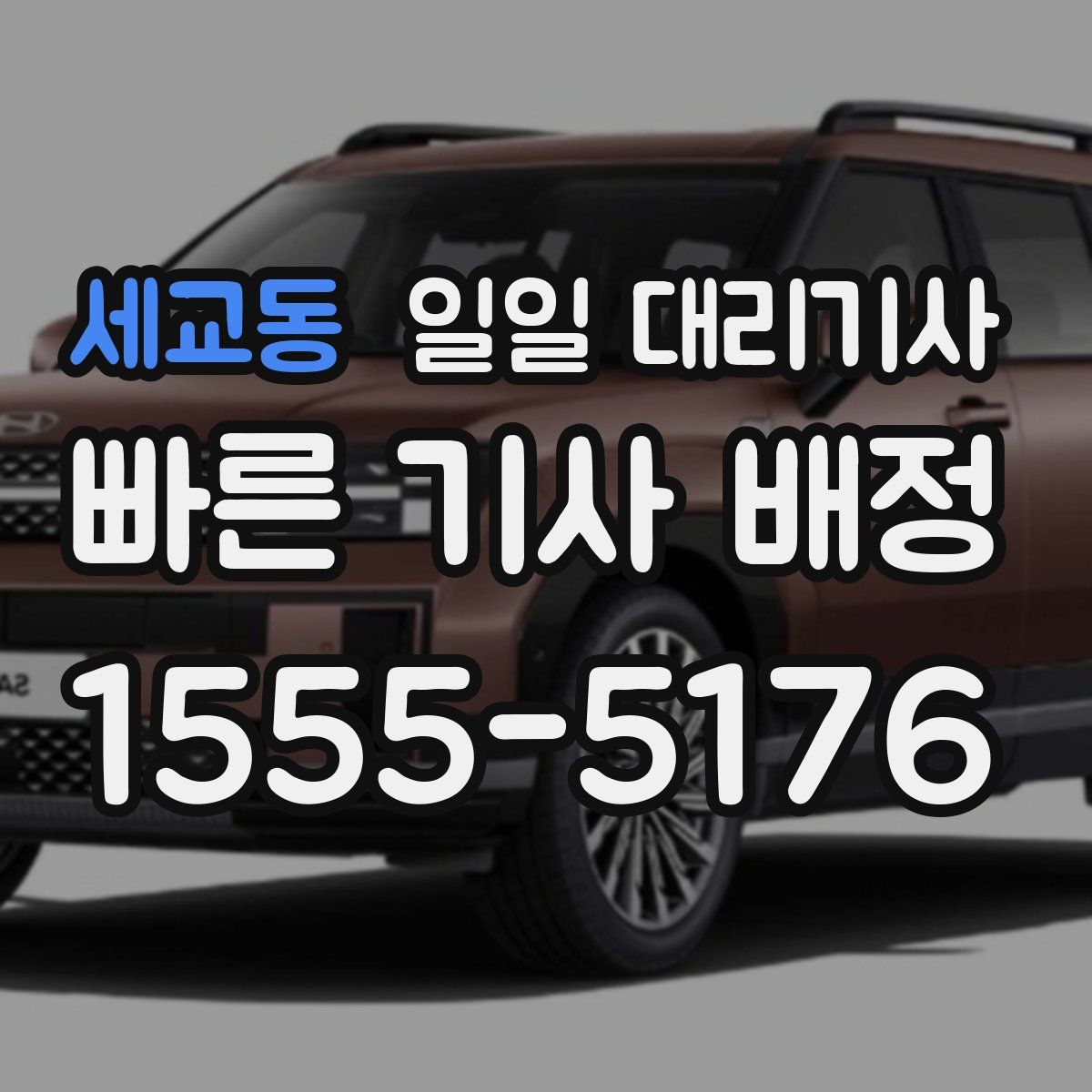 세교동 일일 대리기사