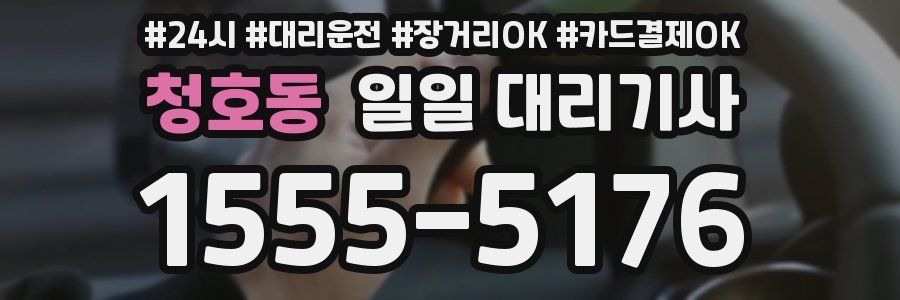 청호동 일일 대리기사