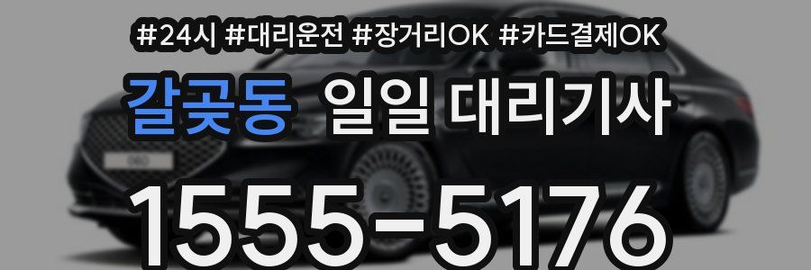 갈곶동 일일 대리기사
